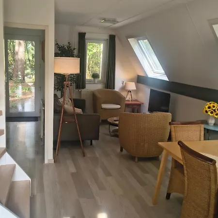 Vakantiehuis Bosvilla Harfsen